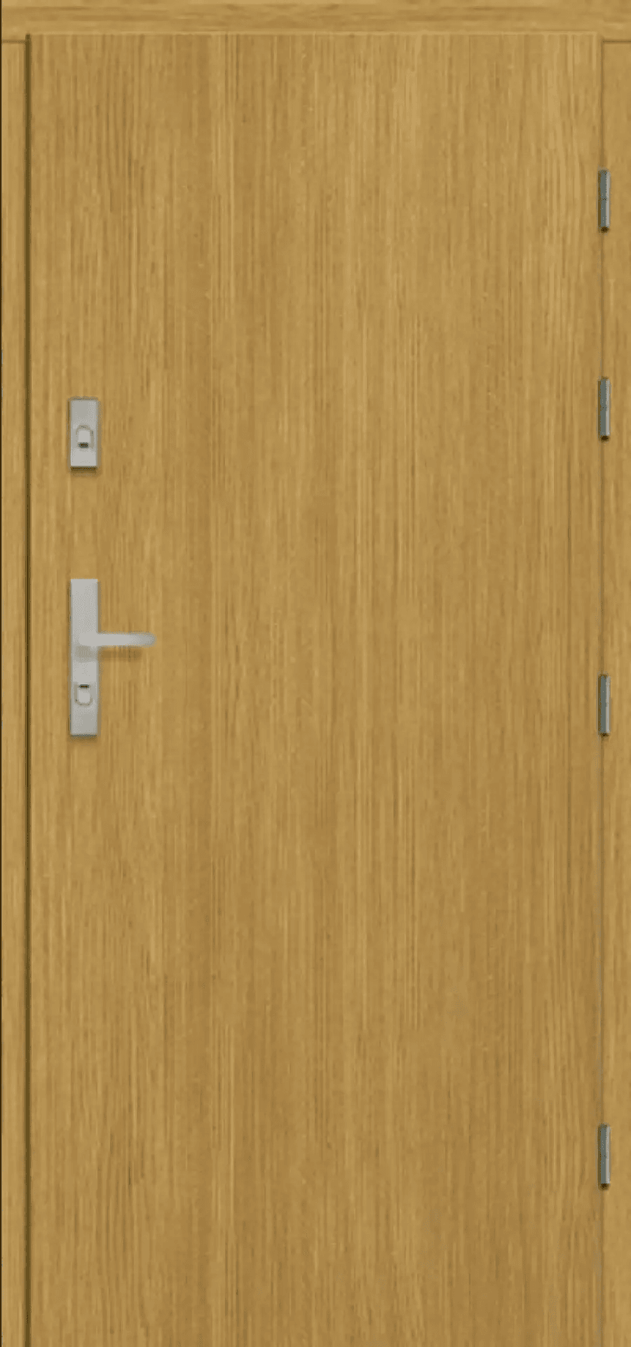 Drzwi RC3, POL-SKONE