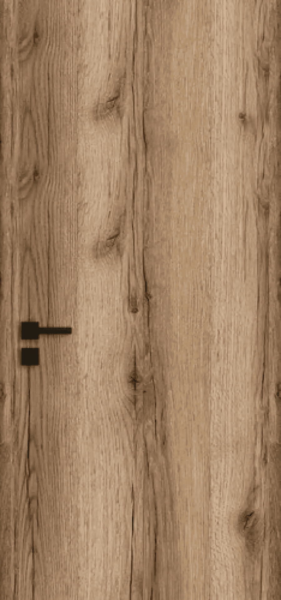 Drzwi Harmony Invest, W00, POL-SKONE