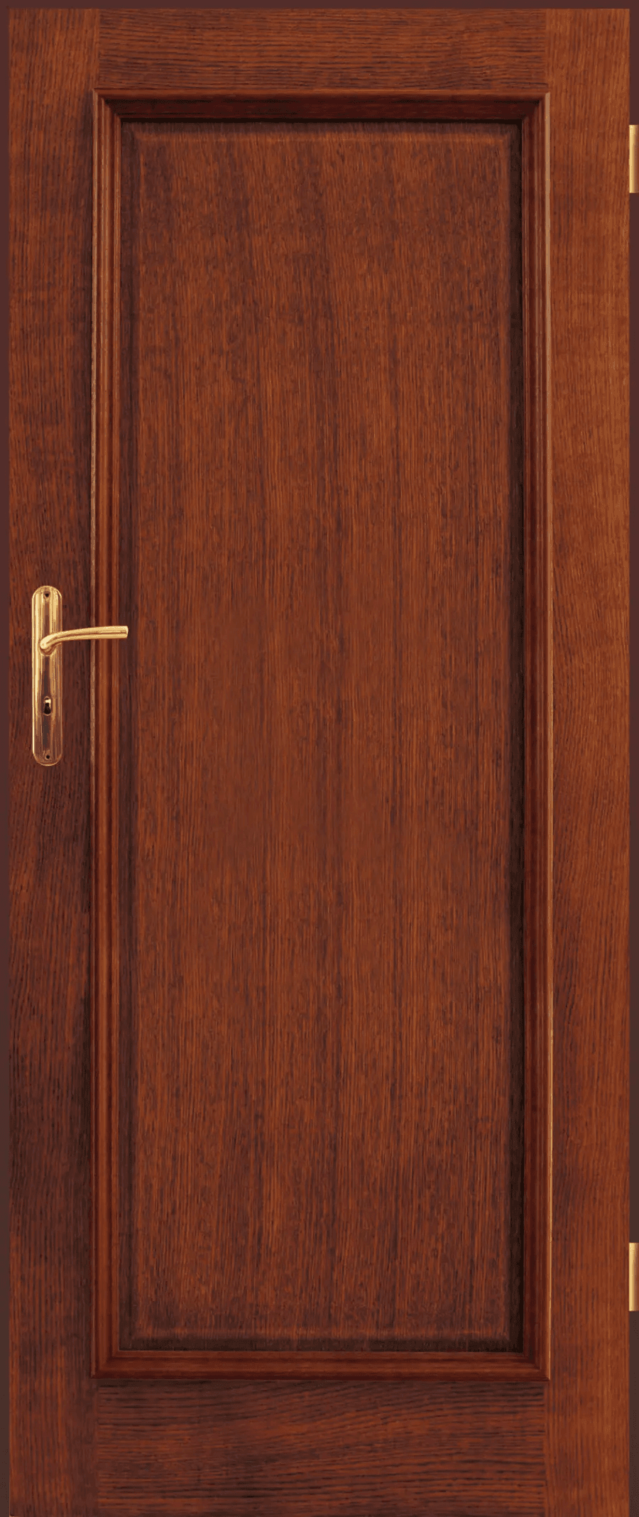 Drzwi Intersolid 08, POL-SKONE