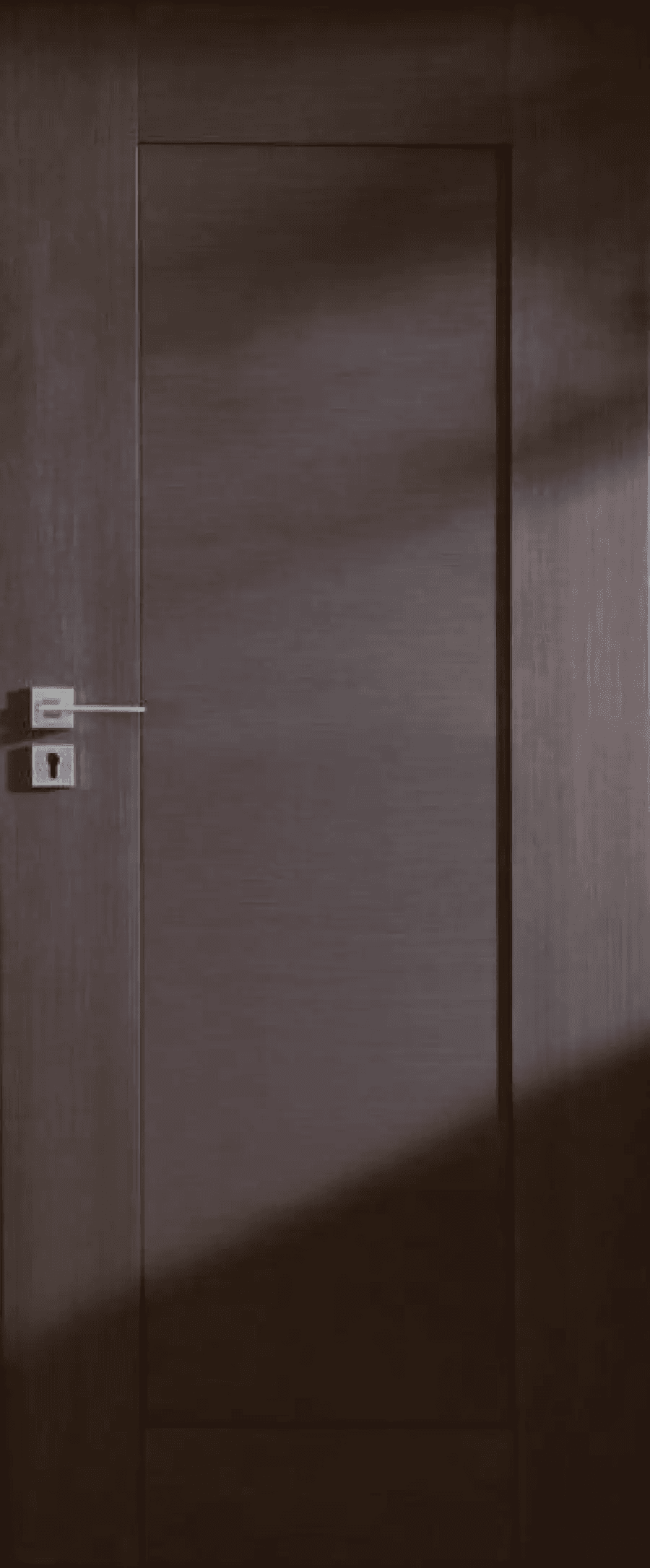 Drzwi Sempre Lux W00, POL-SKONE