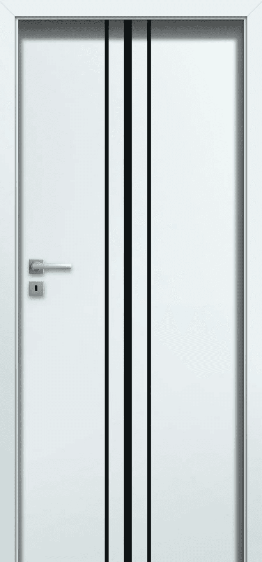 Drzwi Tiara W11, POL-SKONE