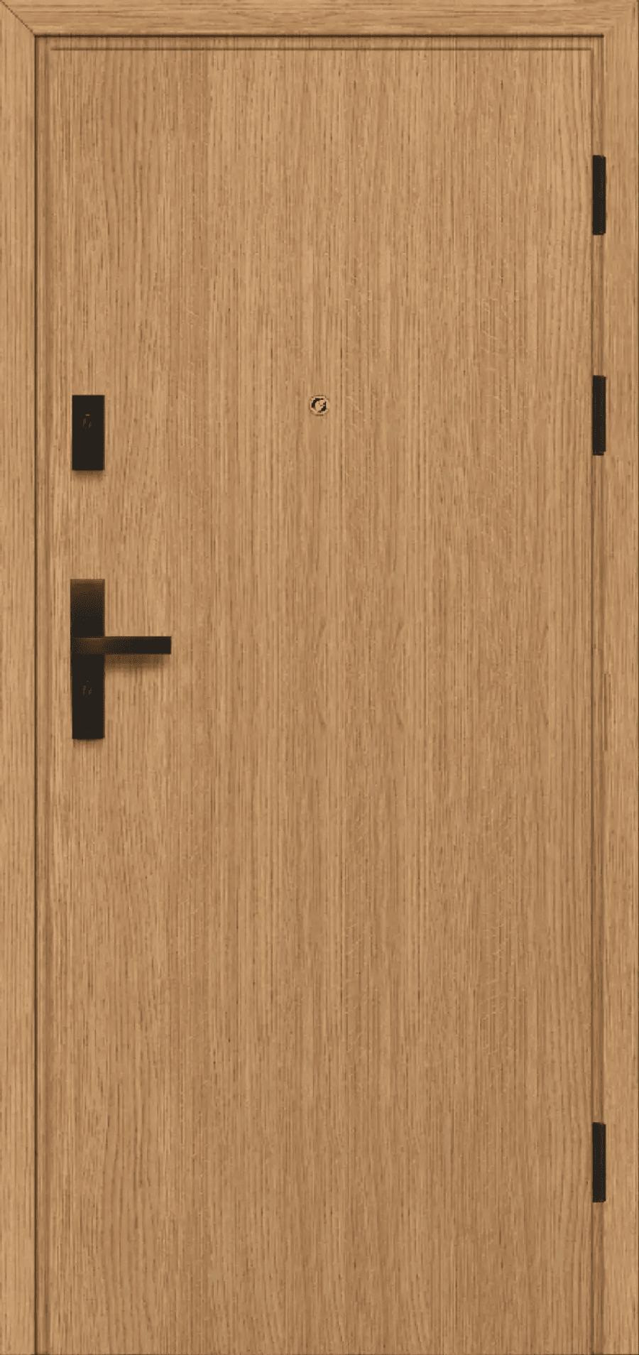 Drzwi Wejściowe Falco W00, POL-SKONE