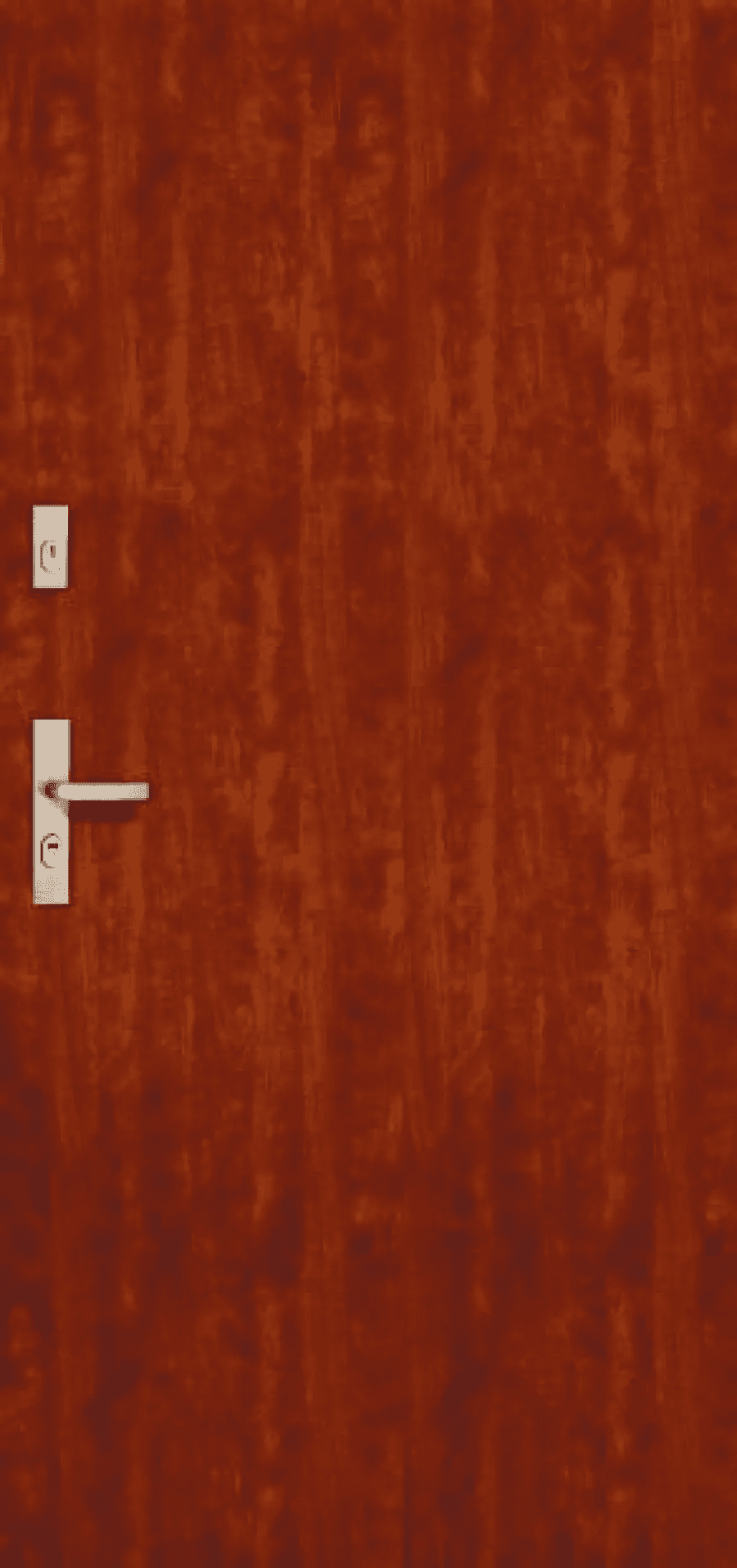 Drzwi C-30 wzór 0, POL-SKONE