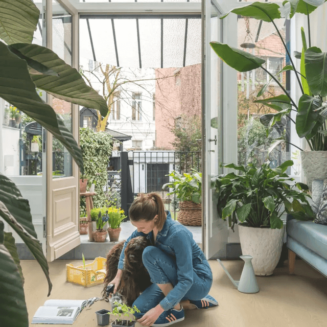 Panele Winylowe SPC LVT Dąb mleczny AVSPT40277 Klasa 33 4 mm, Quick-Step Unilin