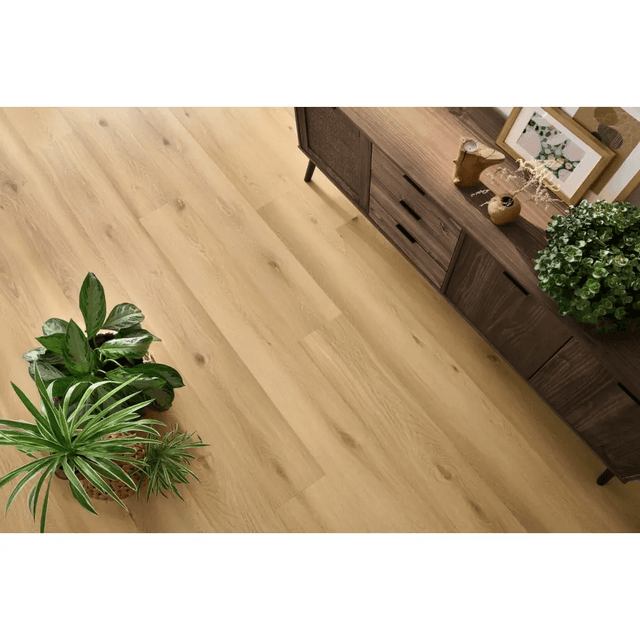 Panele winylowe SPC LVT Dąb Beatrice CASS 205 Klasa 33 5 mm, 5905167856505, Arbiton