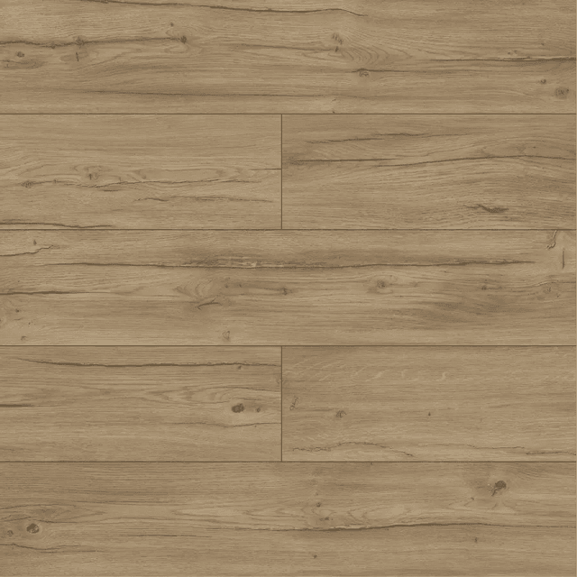 Panele podłogowe Dąb Condor D40254 AC5 8 mm, AUVO40254, Swiss Krono Aurum