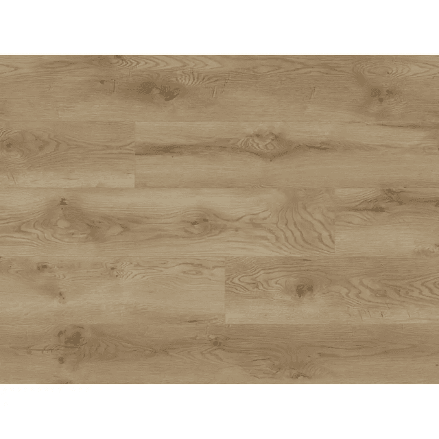 Panele podłogowe Dąb Lahti 66708 AC5 8 mm, Classen