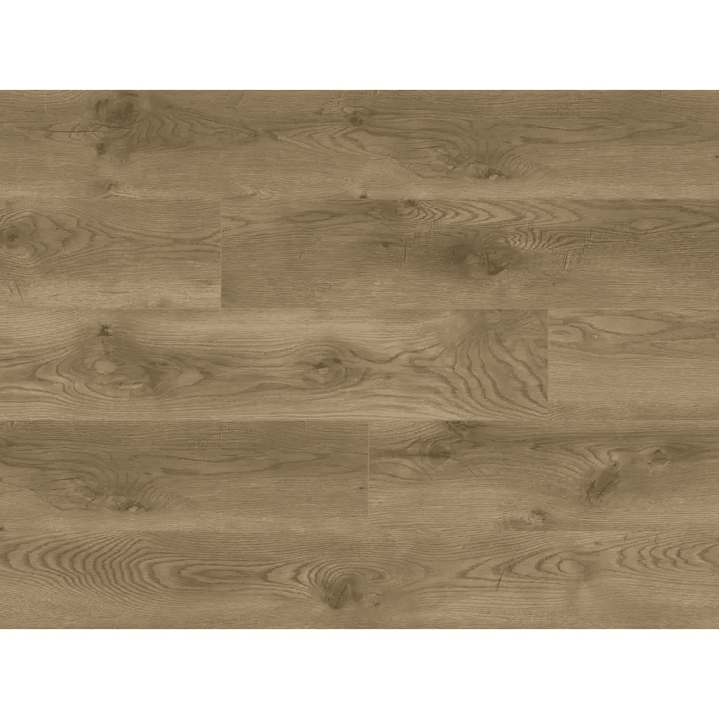 Panele podłogowe Dąb Palermo 64851 AC5 8 mm, Classen