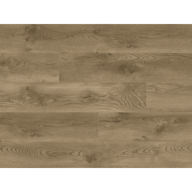 Panele podłogowe Dąb Palermo 64851 AC5 8 mm, Classen