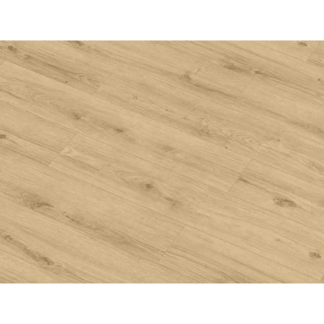 Panele podłogowe ze zintegrowanym podkładem Konigseiche 63684 AC5 9 mm, Classen