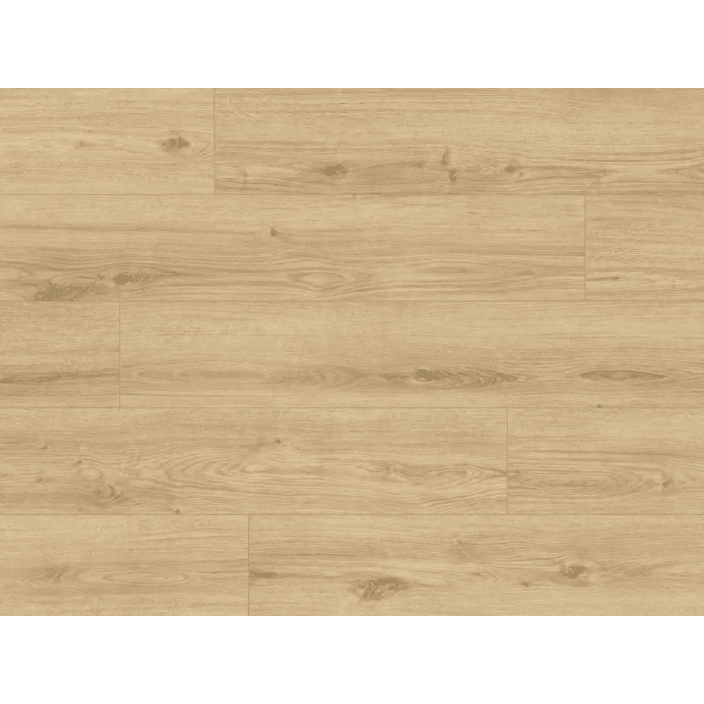 Panele podłogowe ze zintegrowanym podkładem Konigseiche 63684 AC5 9 mm, Classen