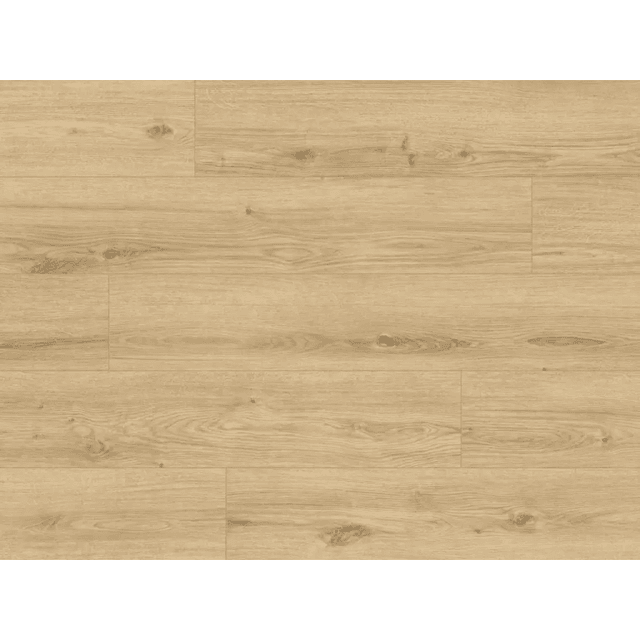 Panele podłogowe ze zintegrowanym podkładem Konigseiche 63684 AC5 9 mm, Classen