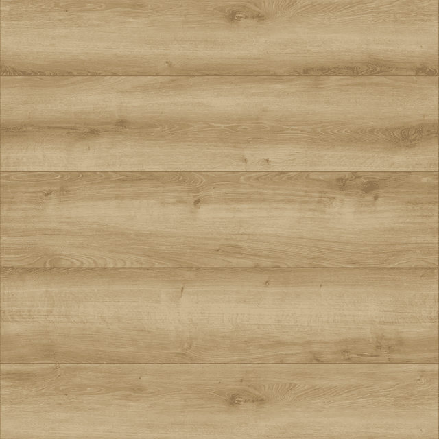 Panele Podłogowe Dąb Durango 62494 AC5 8 mm, Classen