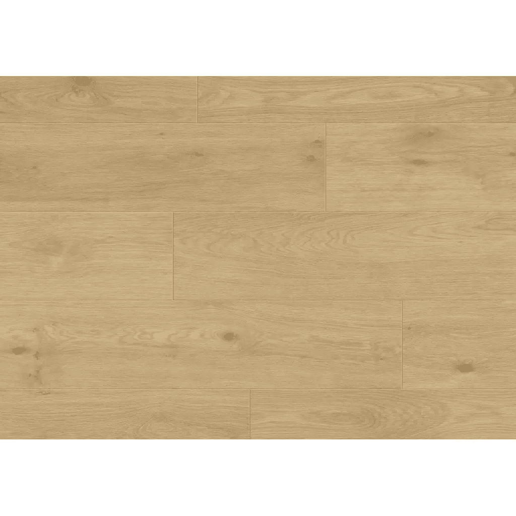 Panele podłogowe Paura 777376 AC5 8 mm, 400107637, Balterio