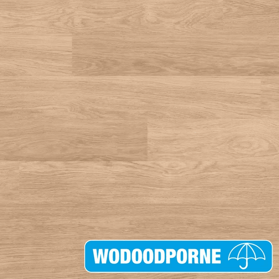 Panele Podłogowe Dąb Biały Satynowy EL915 AC4 8 mm, Quick-Step Unilin