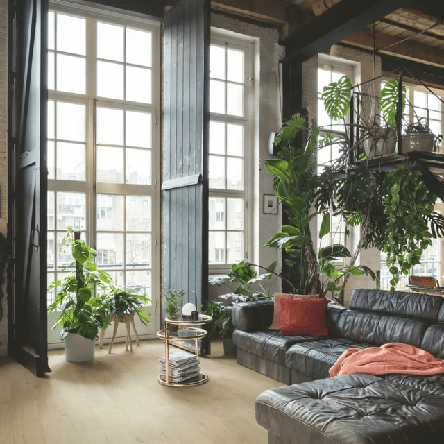 Panele Podłogowe Dąb Spokojny IMU1856 AC5 12 mm, Quick-Step Unilin