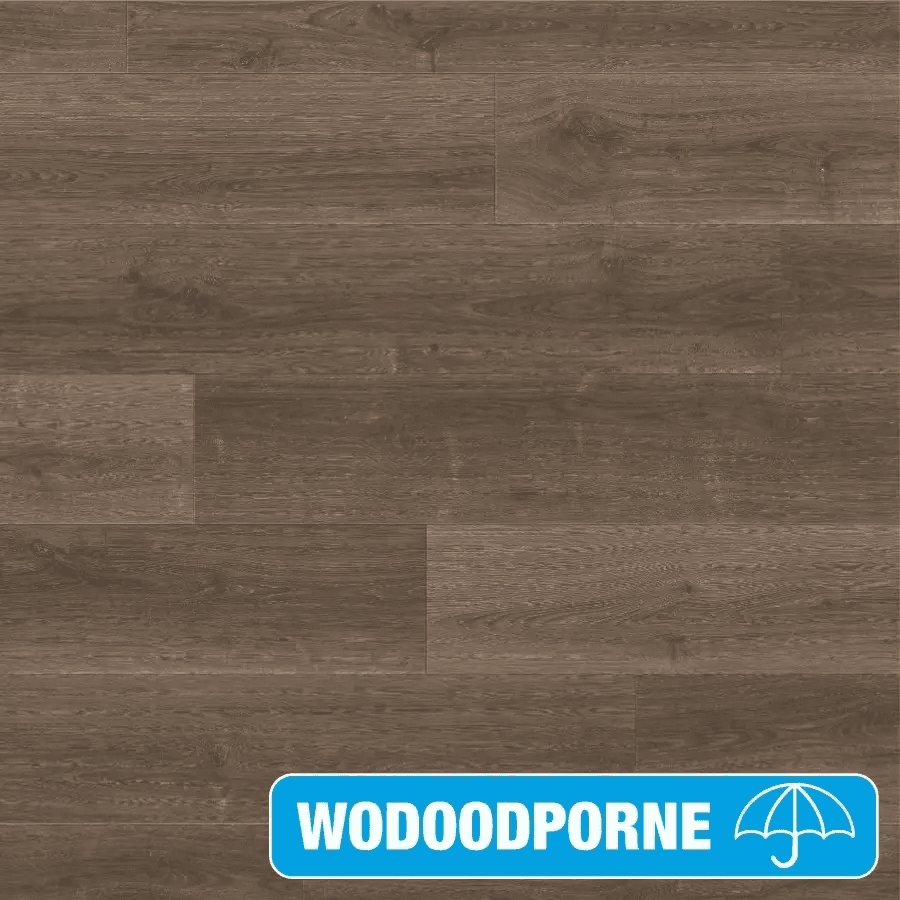 Panele Podłogowe Dąb Szczotkowany Brązowy SIG4766 AC4 9 mm, Quick-Step Unilin