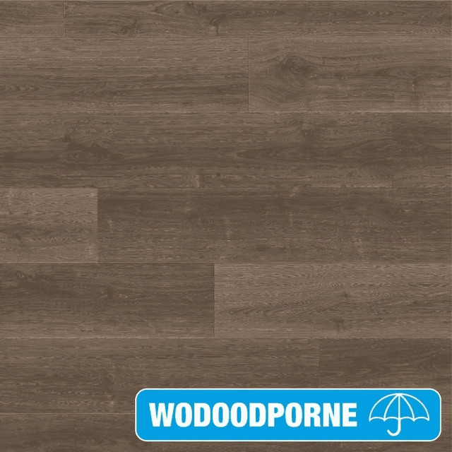 Panele Podłogowe Dąb Szczotkowany Brązowy SIG4766 AC4 9 mm, Quick-Step Unilin