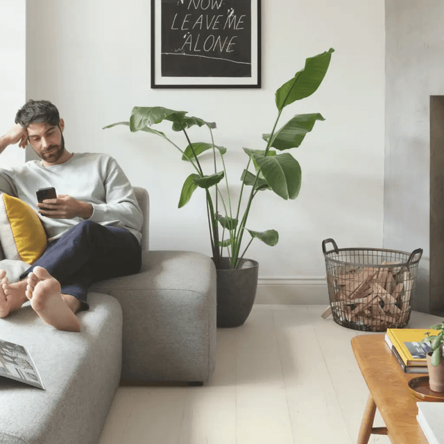 Panele Podłogowe Dąb Biały Malowany SIG4753 AC4 9 mm, Quick-Step Unilin