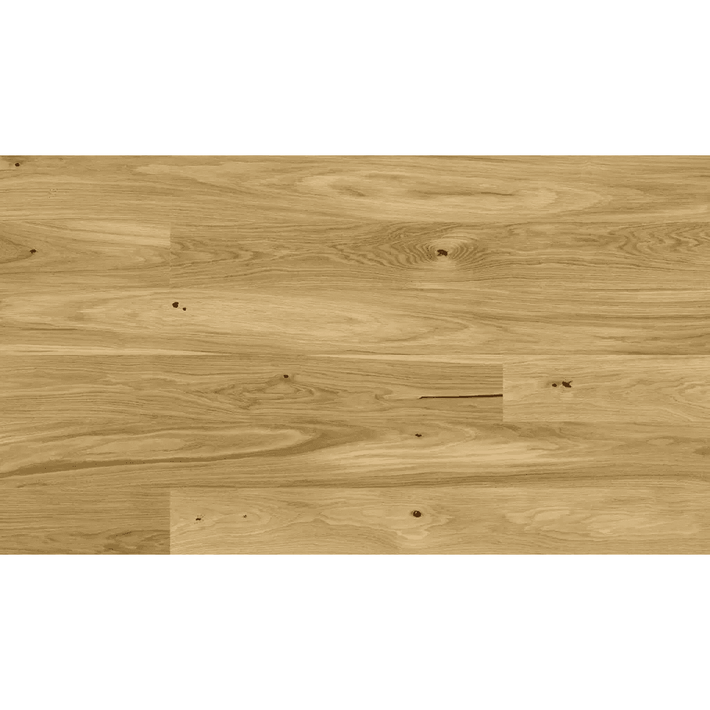 Dąb Askania grande 5Gc 1WG000675 14 mm, Barlinek