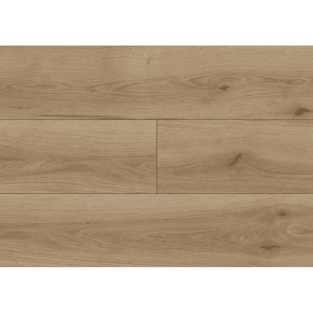 Panele podłogowe Dąb Nortes D59894 AC5 8 mm, 91BB-59894, Modern Classic