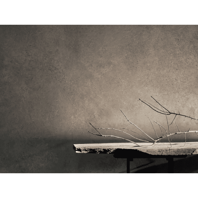 Płyta ścienna Zenith Grey 504C, 5905167881965, Modee