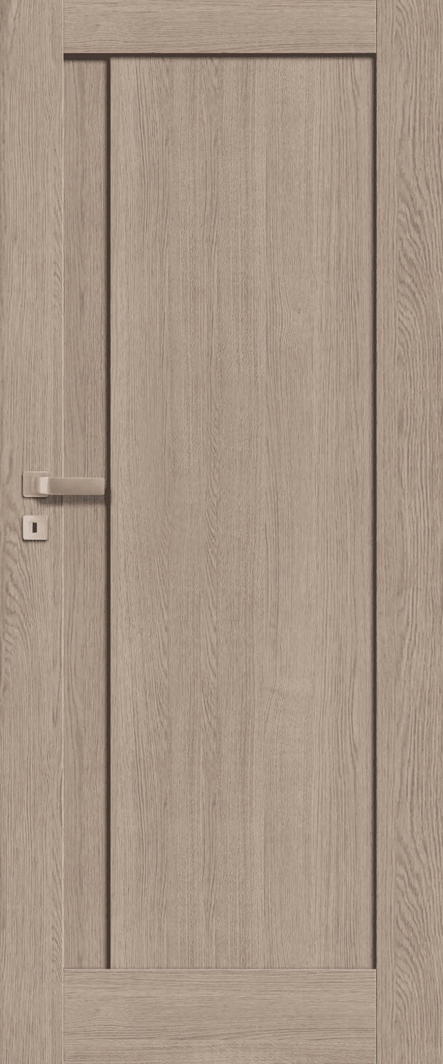 Drzwi Fortimo Lux W01, POL-SKONE