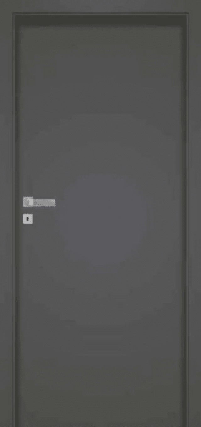 Drzwi Haptic 00, POL-SKONE
