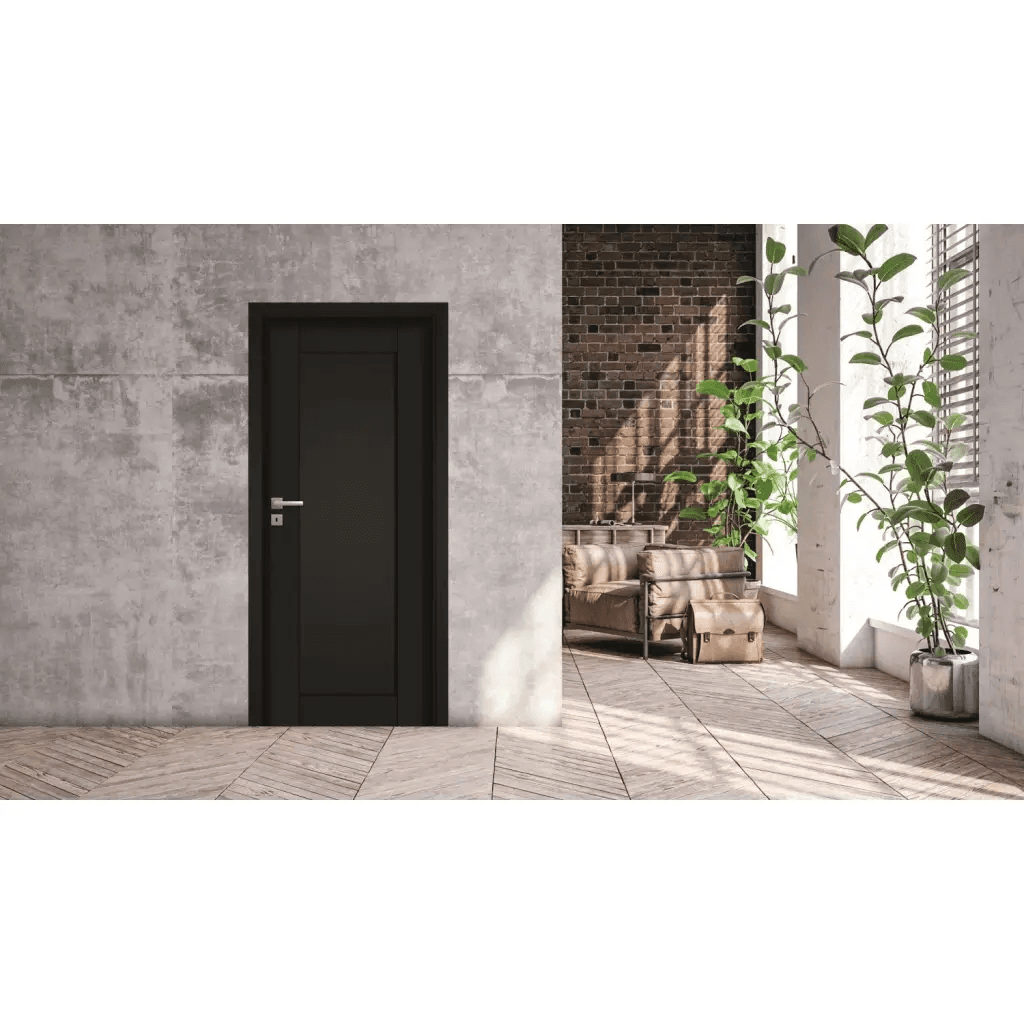 Drzwi Sedo W00, POL-SKONE