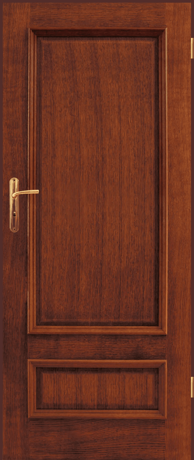 Drzwi Intersolid 05, POL-SKONE