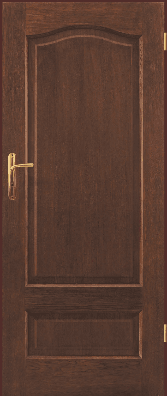 Drzwi Intersolid II 04, POL-SKONE