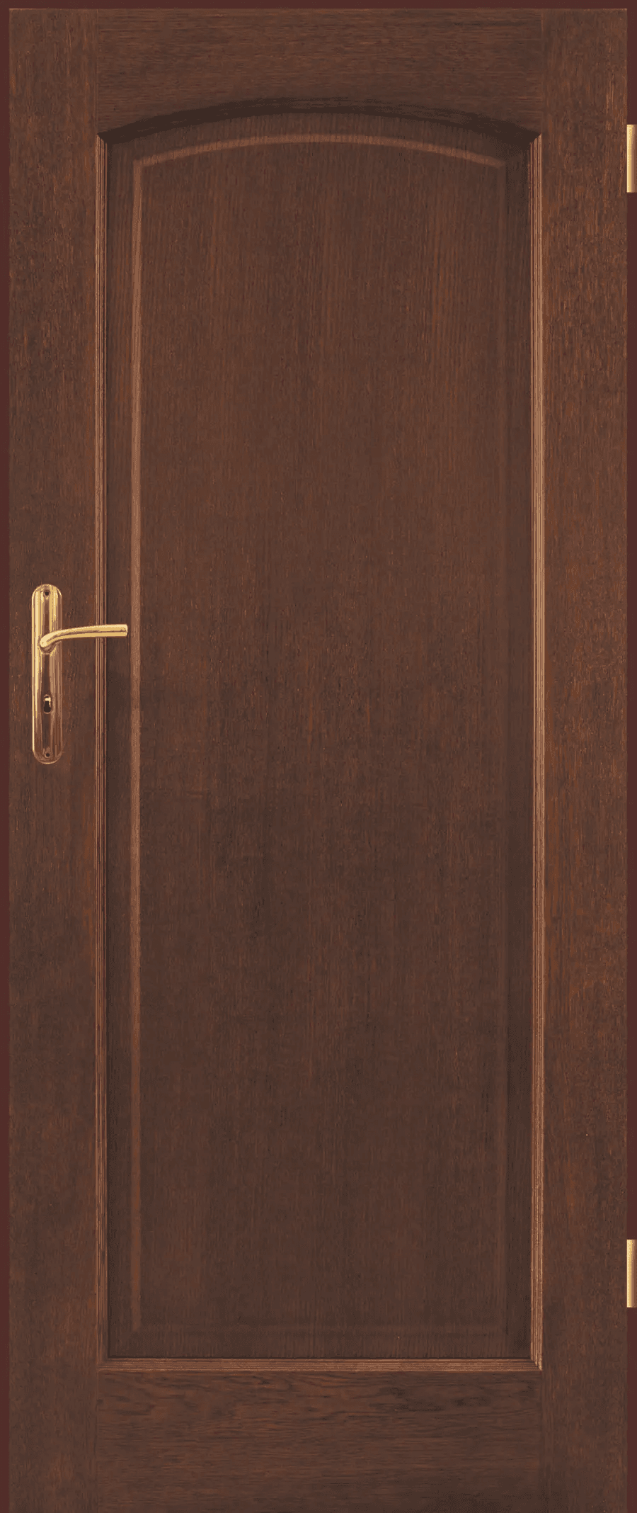 Drzwi Intersolid II 09, POL-SKONE