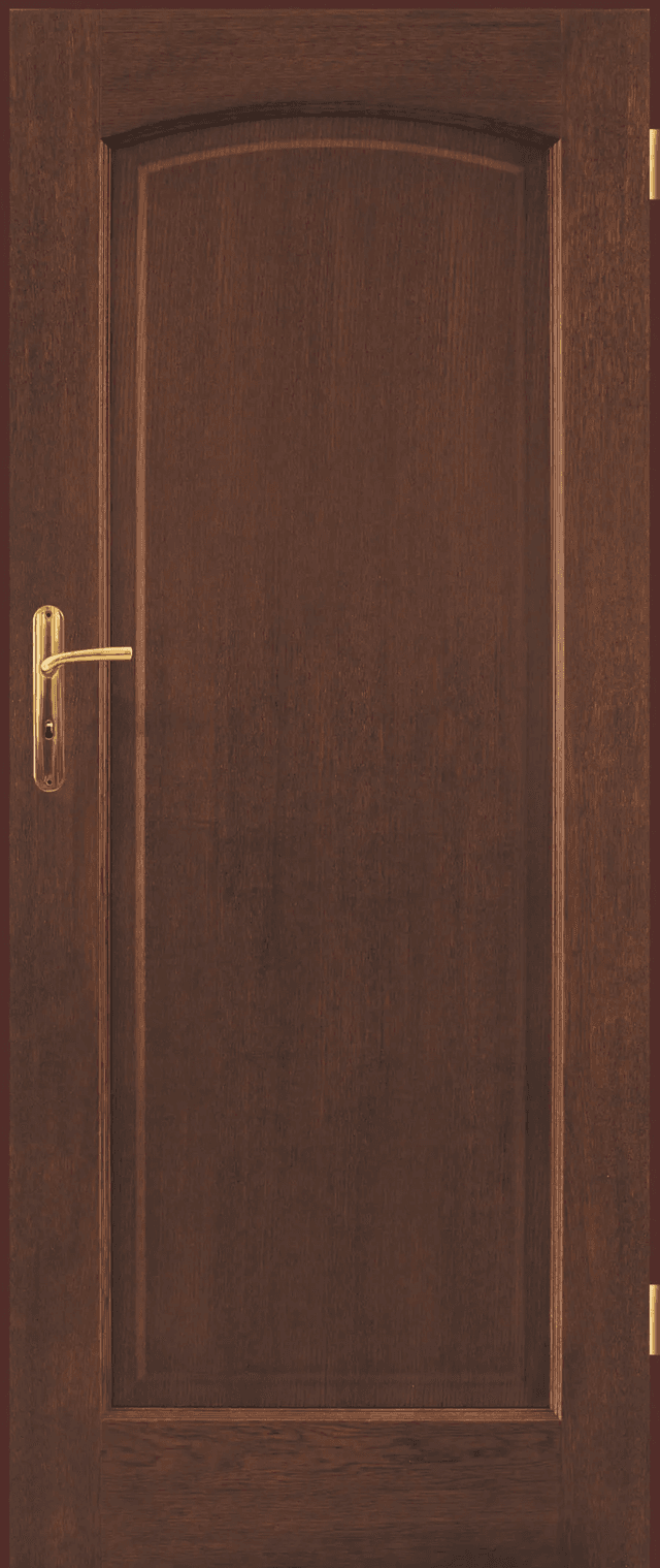 Drzwi Intersolid II 09, POL-SKONE