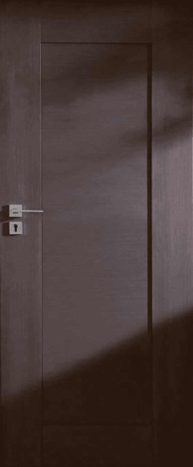 Drzwi Sempre Lux W00, POL-SKONE