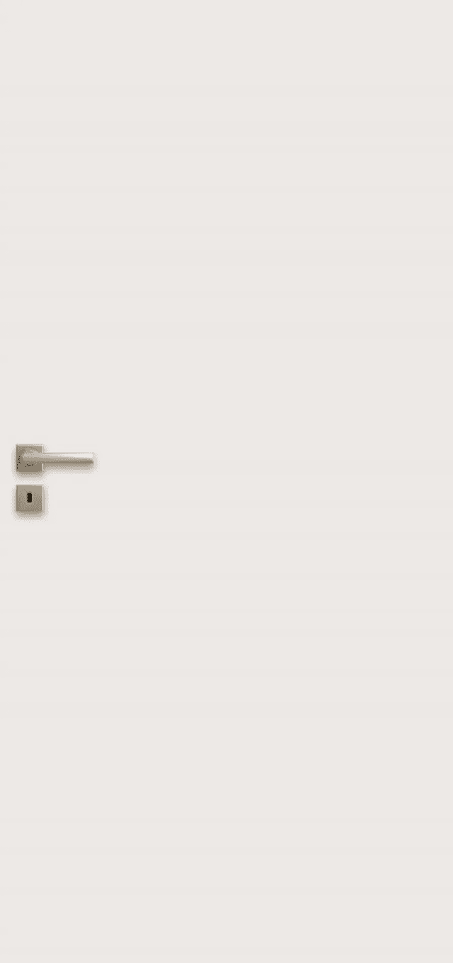 Drzwi Kiwi Light W01, POL-SKONE