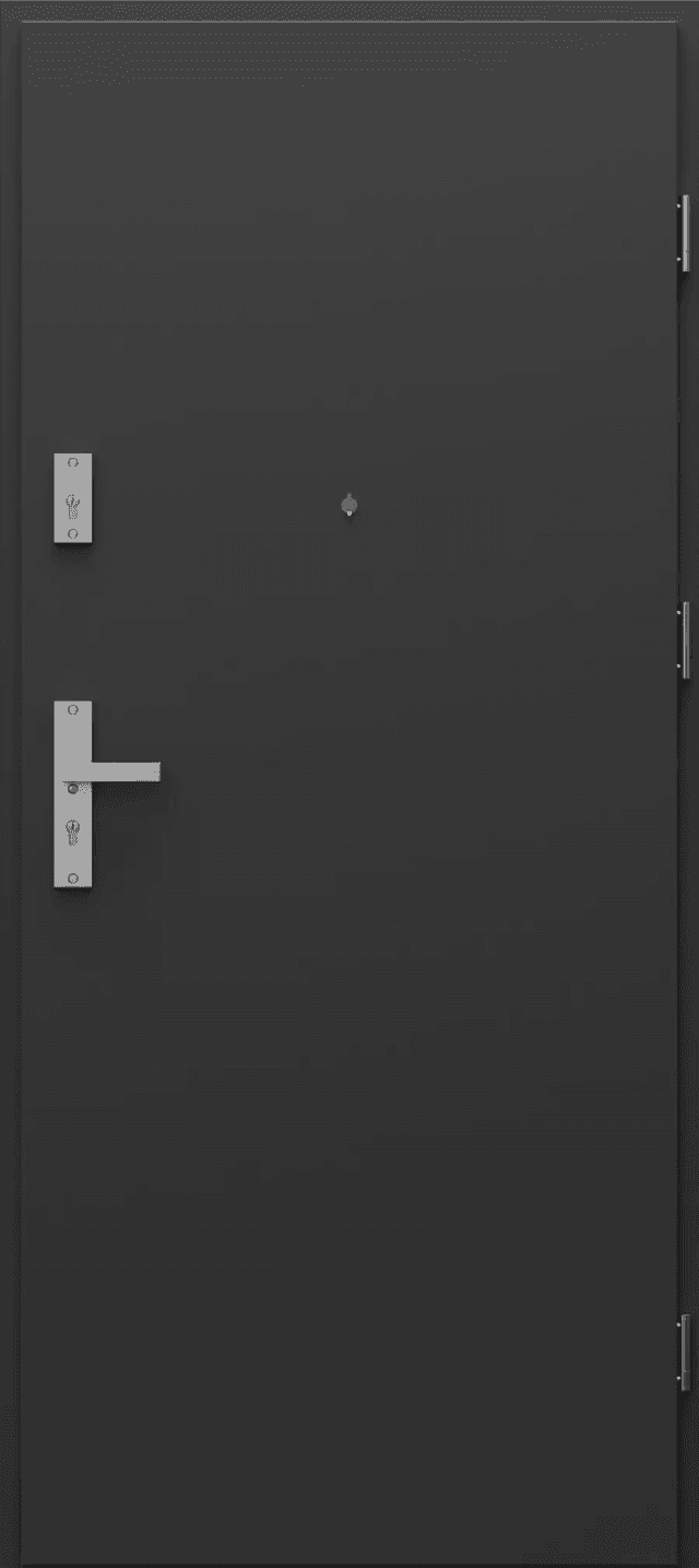 Drzwi Zewnętrzne Steel SECURE A0, PORTA