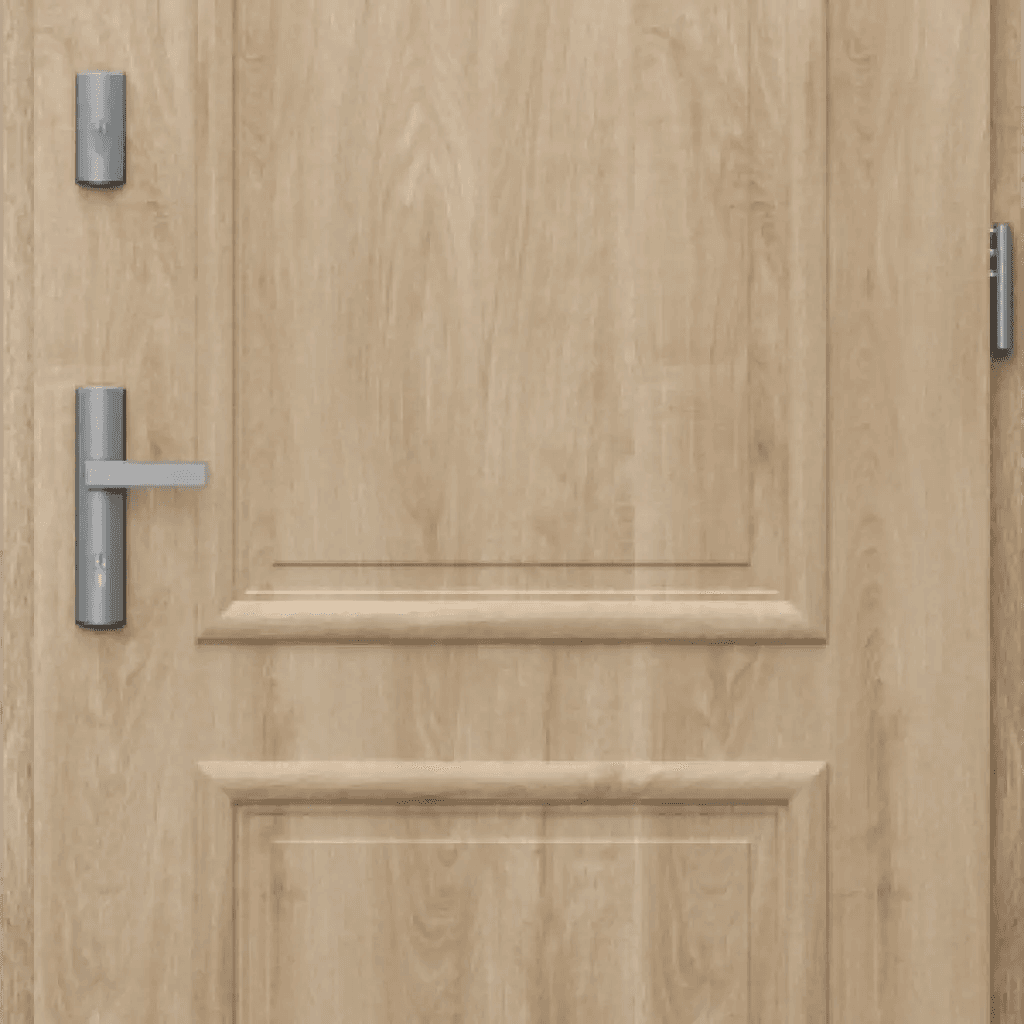 Drzwi Zewnętrzne Model C.2, PORTA