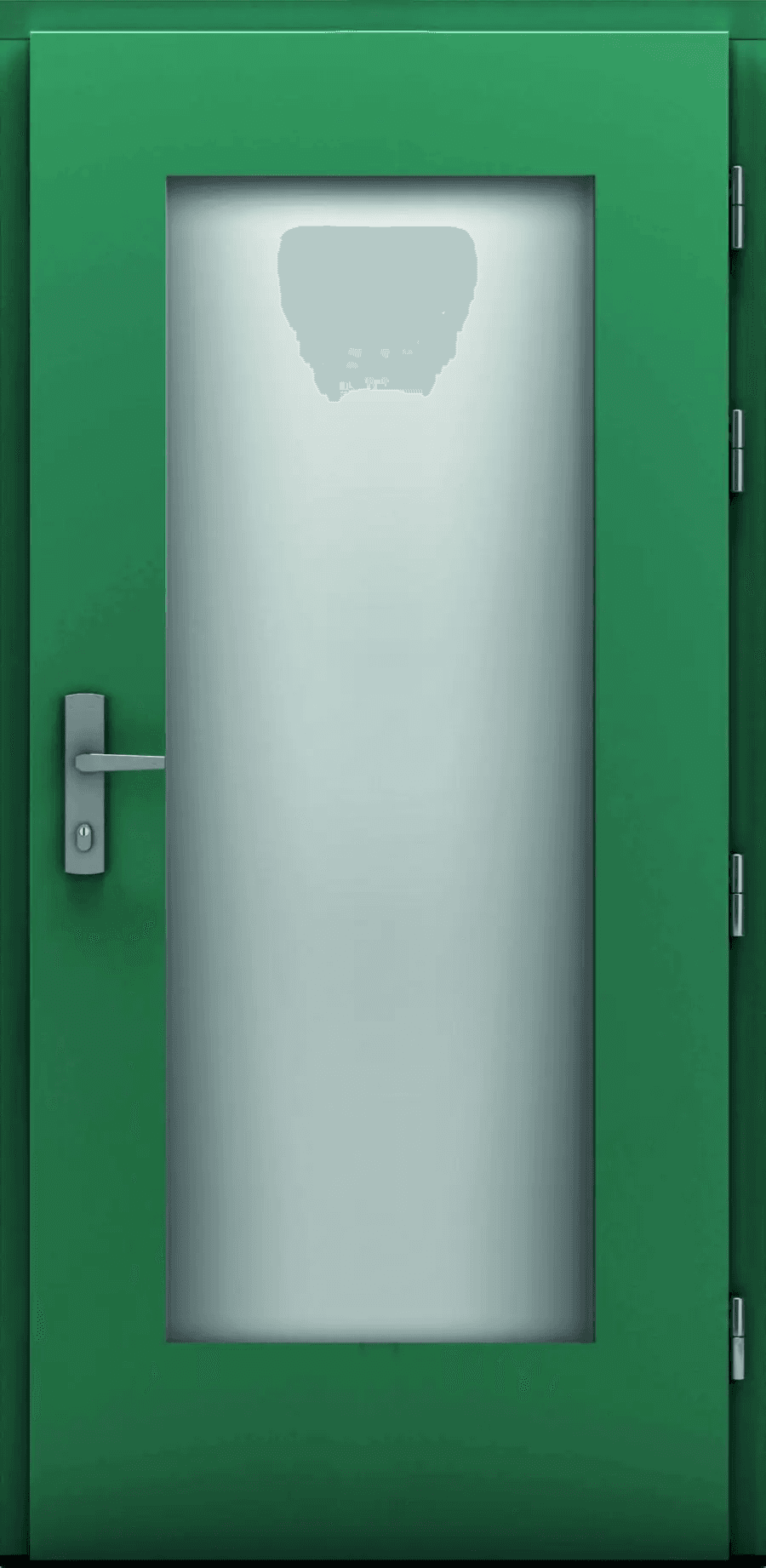 Drzwi Zewnętrzne Jagienka Maxglass, RYC 20, CAL