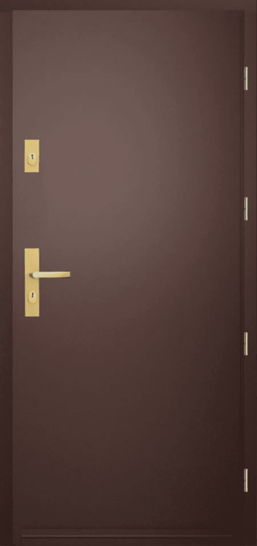 Drzwi Zewnętrzne Saturn 00, POL-SKONE