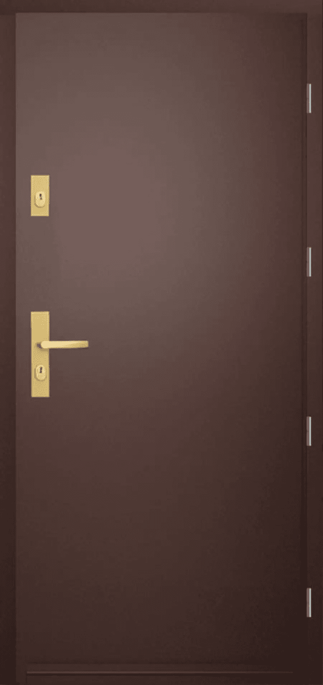 Drzwi Zewnętrzne Saturn 00, POL-SKONE