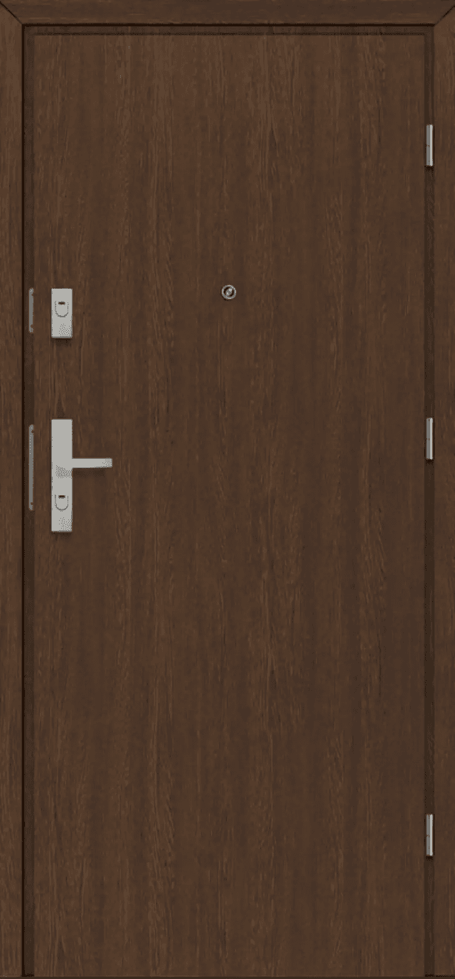Drzwi Wejściowe CERBER PLUS pełne 00, POL-SKONE