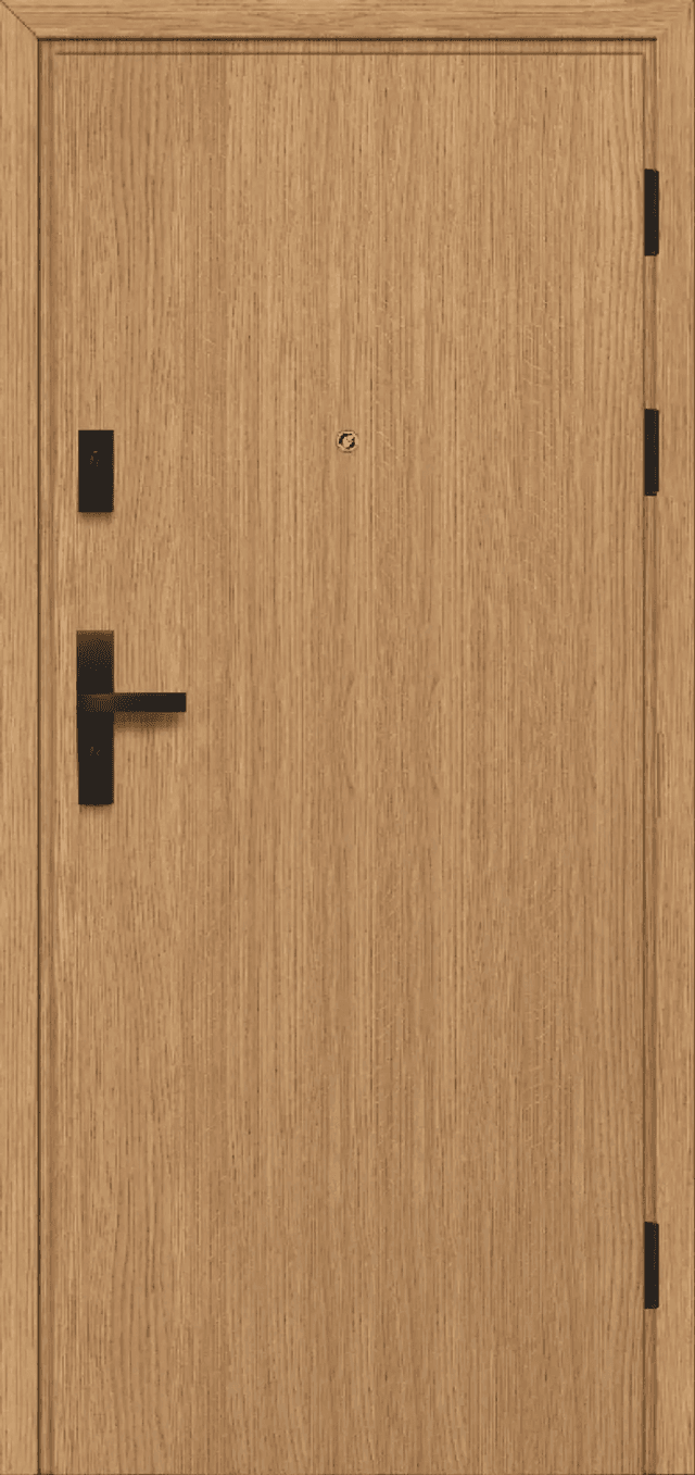 Drzwi Wejściowe Falco W00, POL-SKONE