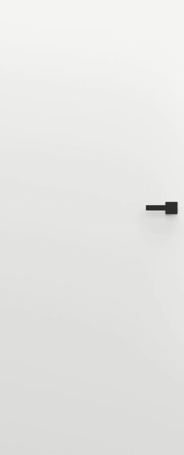 Drzwi ukryte Porta HIDE Bezprzylgowe (otwierane na zewnątrz) Lewe 80cm plaster miodu, SPA1110L08LBP0A7U0H000, PORTA