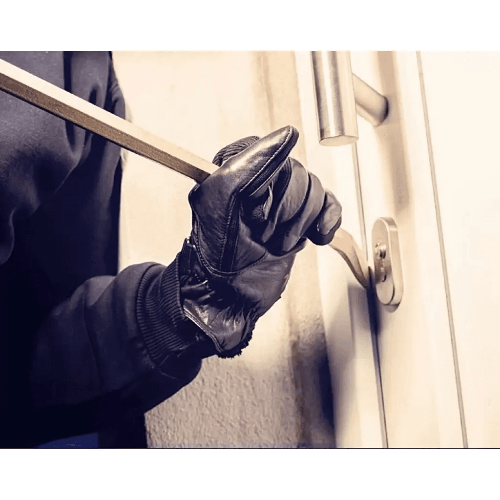 Drzwi Wejściowe Enter Prawe 80 cm Dąb Polski, 5902285996472, DRE