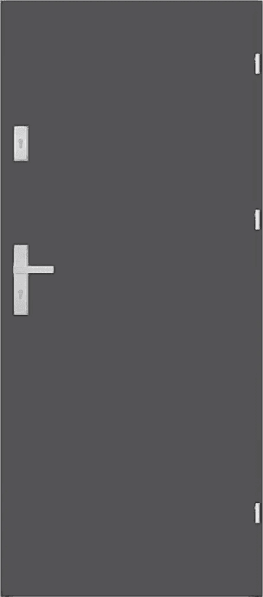 Drzwi Wejściowe Enter Prawe 80 cm Szary Ciemny, 5902743439831, DRE