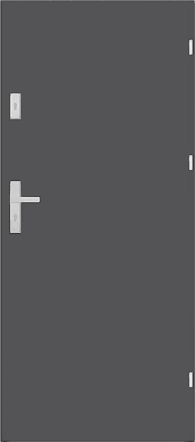 Drzwi Wejściowe Enter Prawe 80 cm Szary Ciemny, 5902743439831, DRE