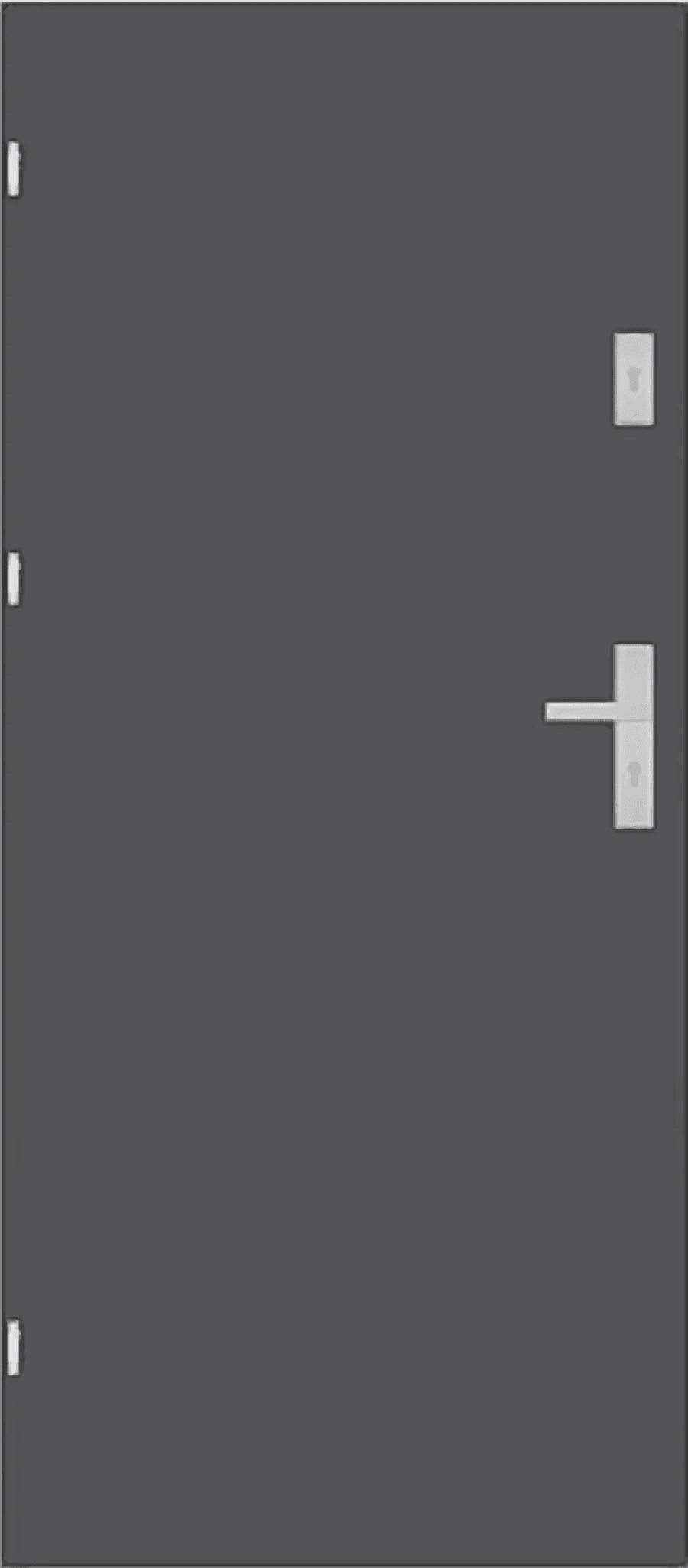 Drzwi Wejściowe Enter Lewe 80 cm Szary Ciemny, 5903004559640, DRE