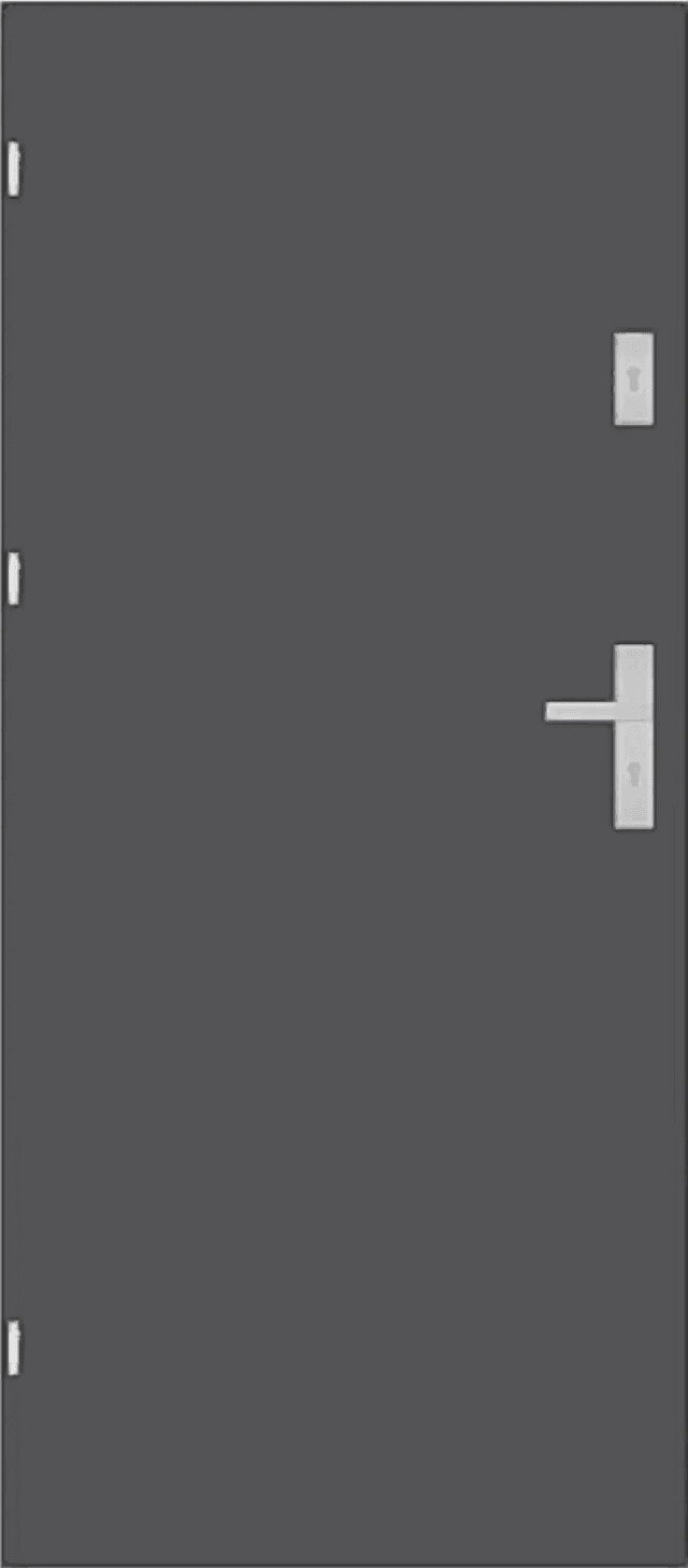 Drzwi Wejściowe Enter Lewe 80 cm Szary Ciemny, 5903004559640, DRE