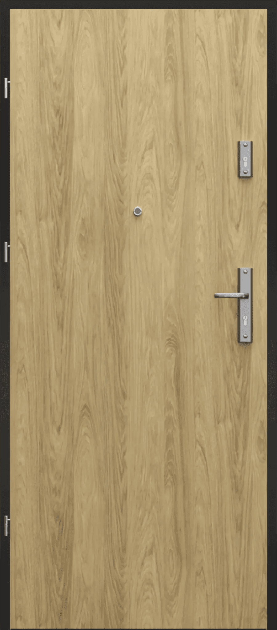 Drzwi Wejściowe Agat Lewe 80 Hikora, SPEA0P0L082OHJSD30O000, PORTA