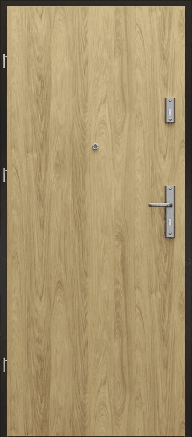 Drzwi Wejściowe Agat Lewe 80 Hikora, SPEA0P0L082OHJSD30O000, PORTA